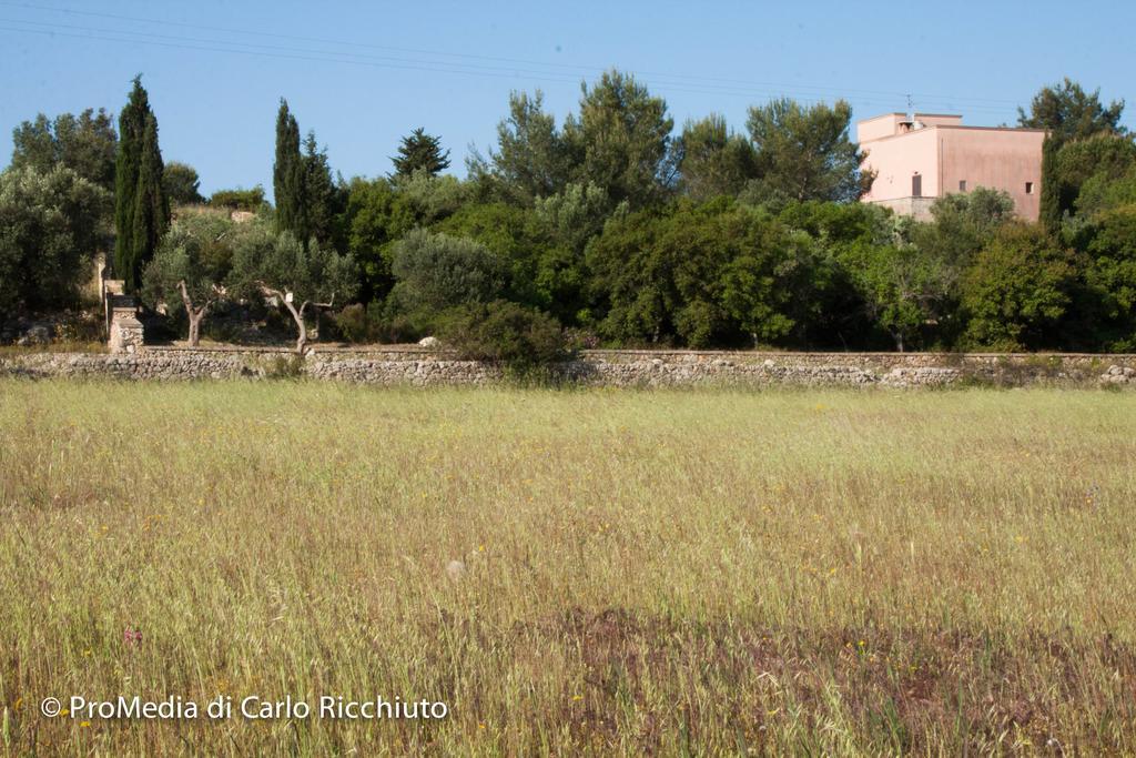 乌真托Masseria Moresano住宿加早餐旅馆 客房 照片